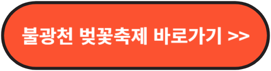 불광천 벚꽃축제