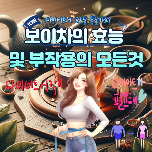 보이차 효능