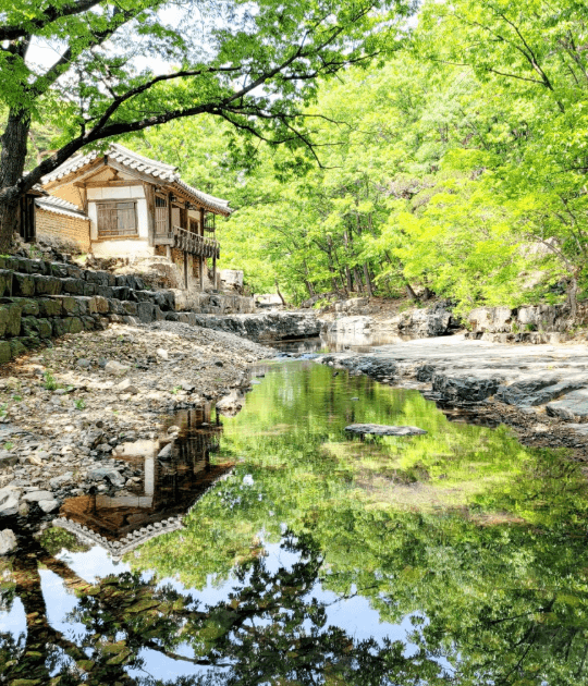 경주-독락당계곡