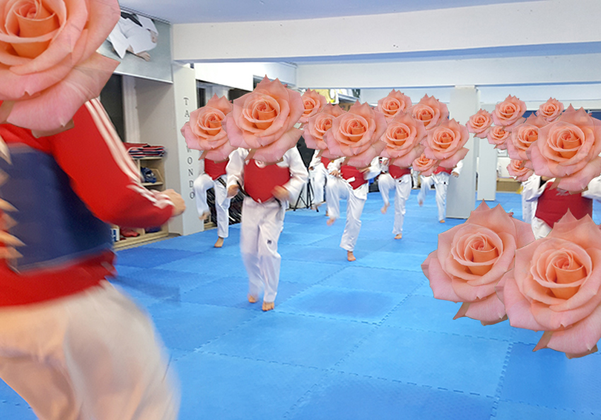 꽃보다 태권도 장미(Rose)