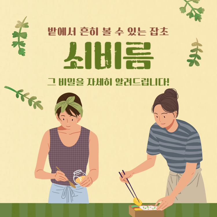 쇠비름 효능 먹는방법 완벽정리(+쇠비름 효소 효능 만드는법)