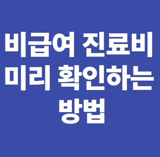 비급여 진료비 확인방법