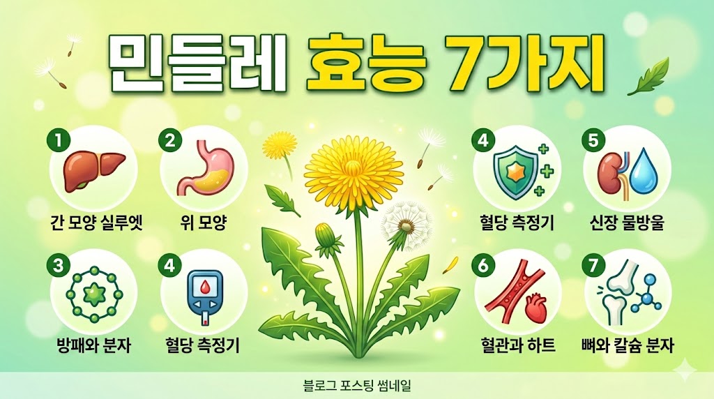 민들레 효능 7가지