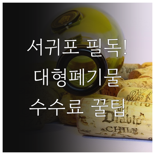 서귀포시 대형 폐기물 처리 방법 및 ..