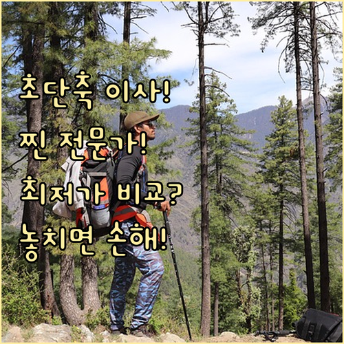 시간 낭비 없는 이사 준비: 비교 사..