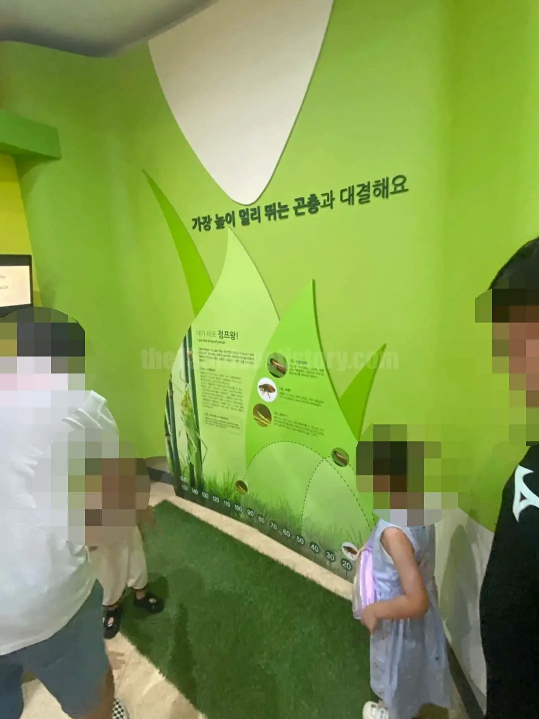 경남 의령 &amp;#39;의령 곤충생태학습관&amp;#39; (2층 &amp;#39;체험학습실&amp;#39;)