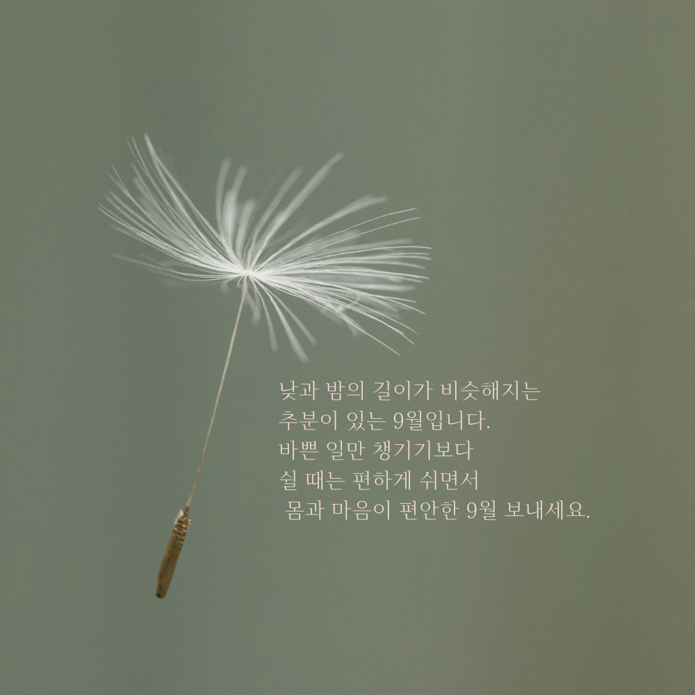 추분과 함께 몸과 마음의 휴식을 전하는 9월 인사말 이미지