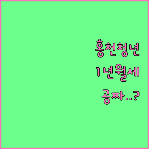 1년간 월세 지원받는 홍천군 청년 주..