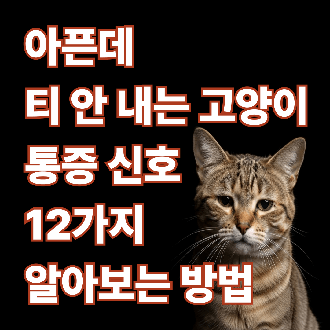 아픈데 티 안 내는 고양이 통증 신호 12가지 알아보는 방법