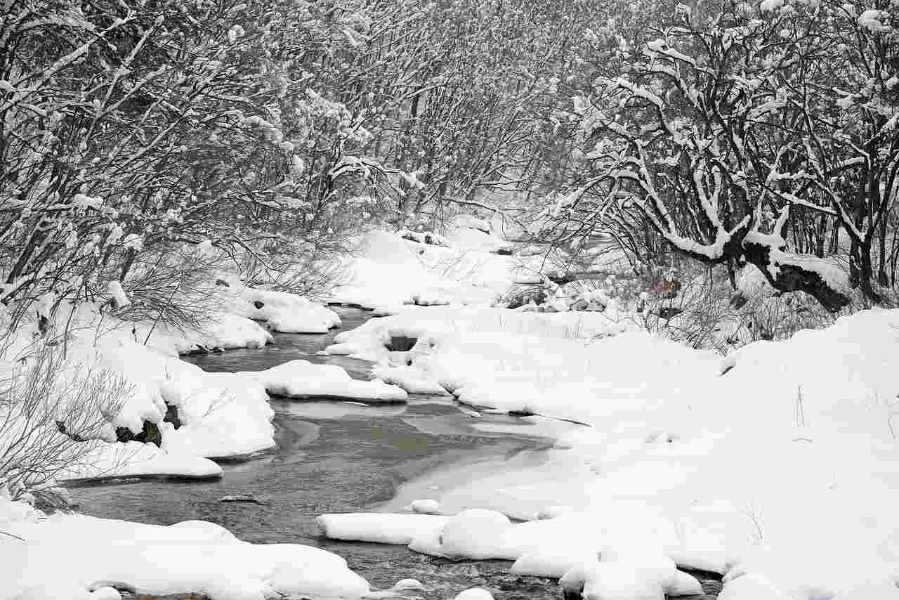 겨울 호숫가의 모습