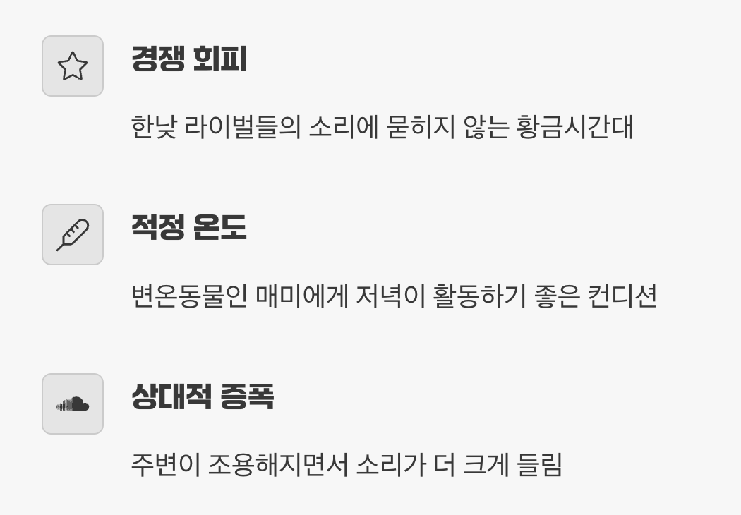 왜 하필 저녁에 더 시끄러울까?