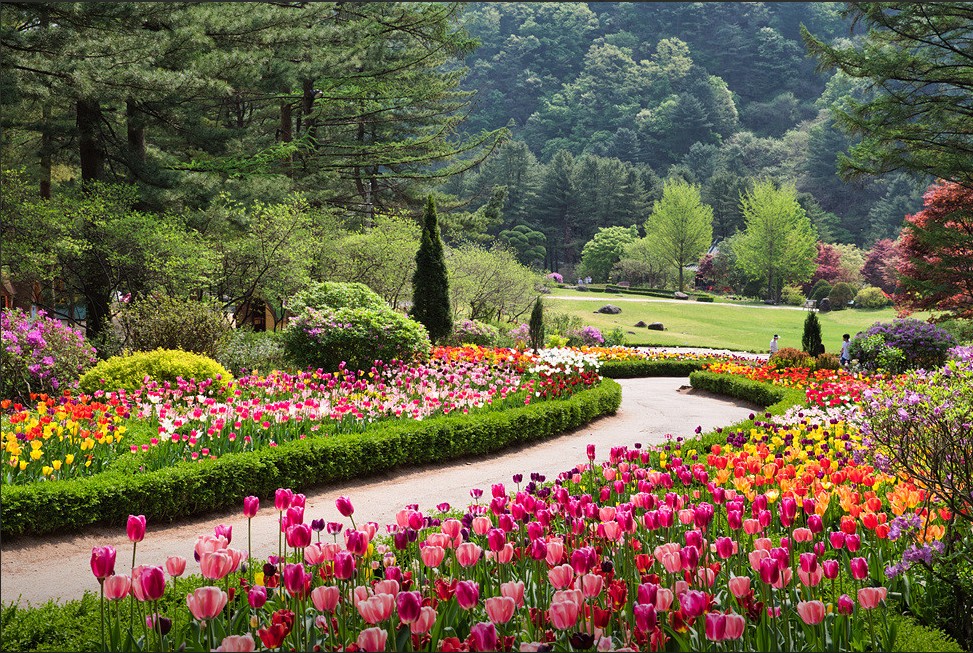 가평-아침고요수목원-사진