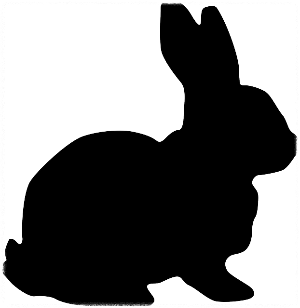 10월 띠별 운세 이달의 운세 월간운세 별자리운세