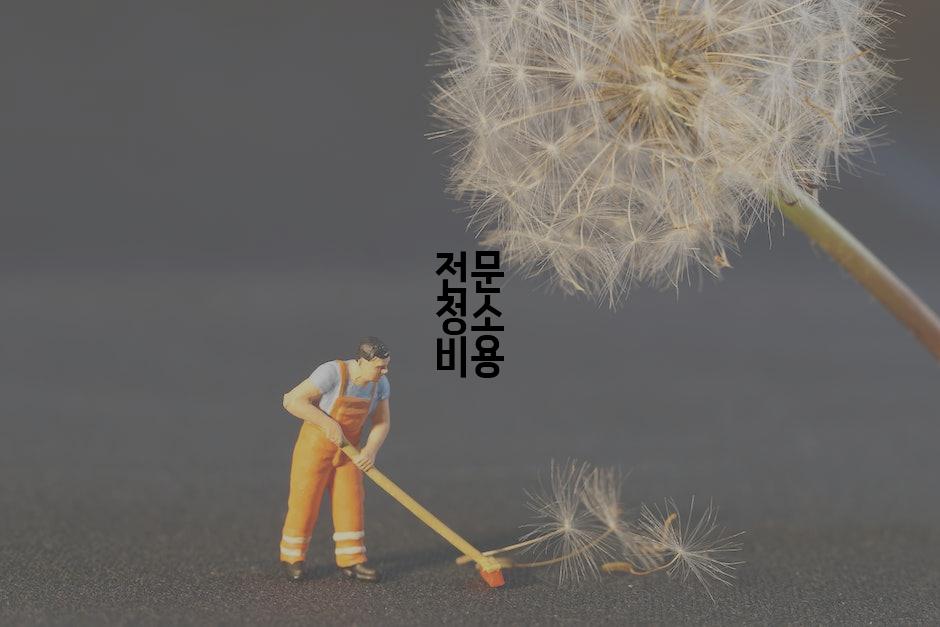 전문 청소 비용