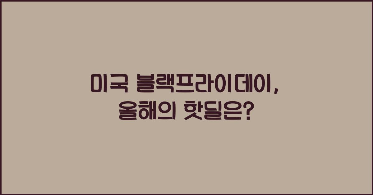 미국 블랙프라이데이