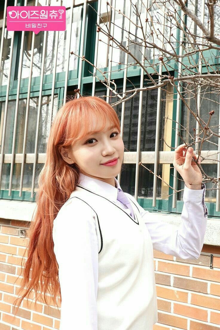 김채원 사진 모음