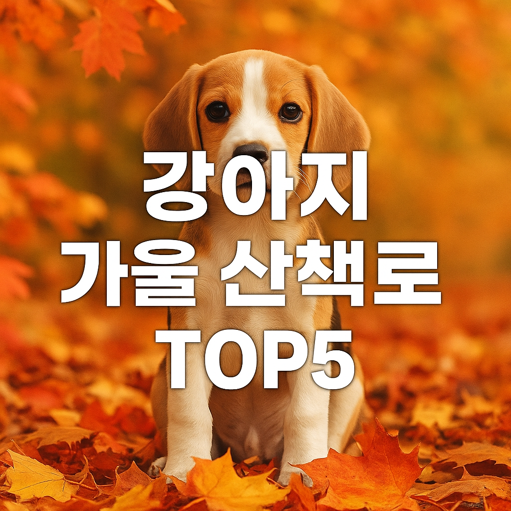 가을 단풍잎 위에 앉아 있는 귀여운 강아지와 함께 '강아지 가을 산책로 TOP5'라는 글자가 중앙에 배치된 감성적인 썸네일 이미지