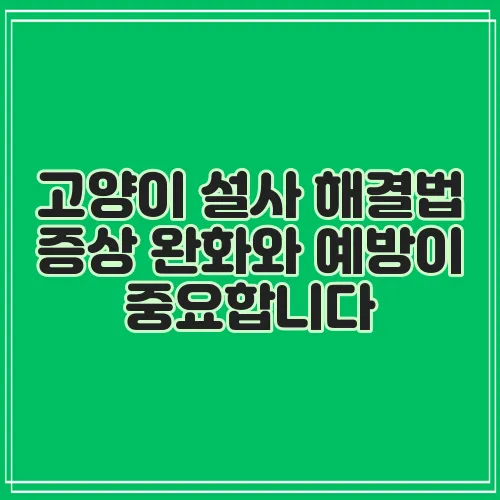 고양이 설사 해결법 증상 완화와 예방이 중요합니다