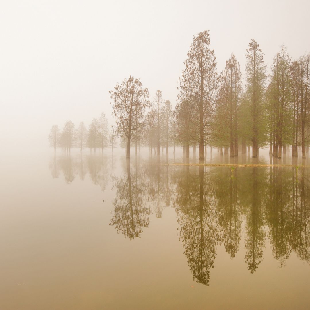 광주/5•18/민주화운동기록관