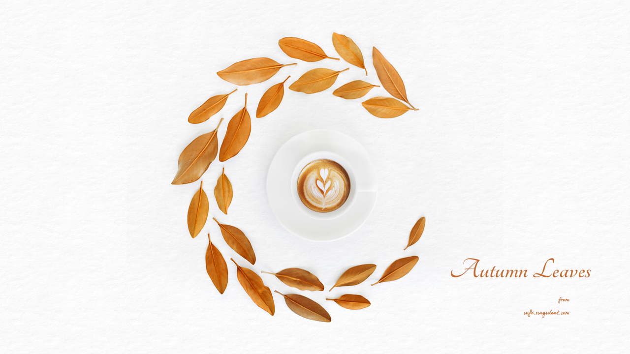 05 나뭇잎과 커피 C - Autumn Leaves 가을배경화면