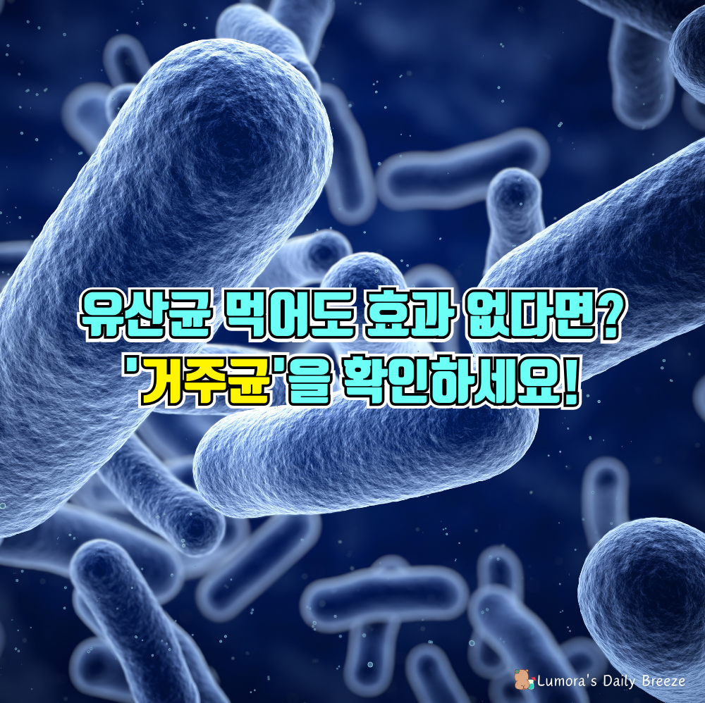 유산균 먹어도 효과없는 이유와 해결, 비피더스, 유산균, 프로바이오틱스의 차이점과 역할에 대한 정보공유