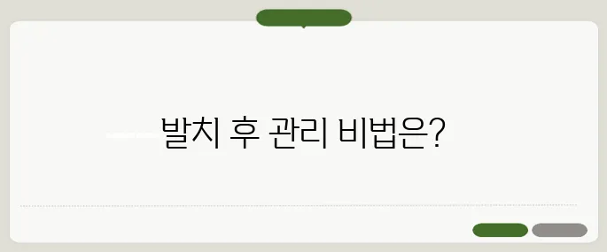 어금니 발치 후 주의사항 이것만 지키면 OK