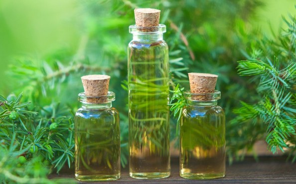 티트리오일 효능 및 효과, 부작용, 사용법