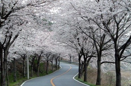 보성(1)