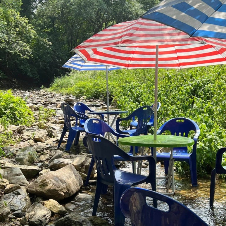 충북 진천 계곡에 맛집, 연곡가든 & 숲속커피