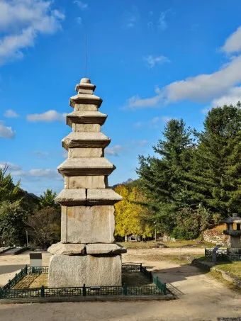 충주 가볼만한곳 베스트10 완벽 관광 가이드_10