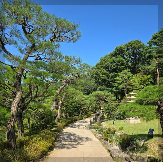 화담숲 단풍여행: 가을 절경을 만끽하는 최고의 산책 코스 추천