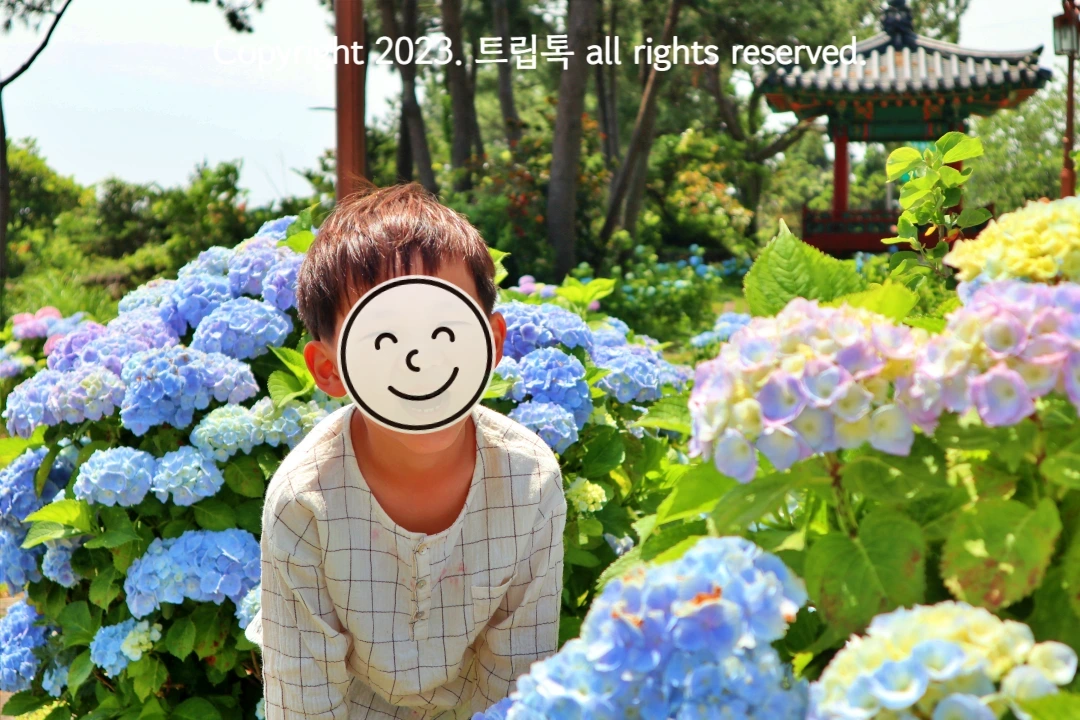 한 아이가 가운에서 웃고 있는데 그 뒤오는 푸른색 수국이 앞으로는 보라색 수국이 잔뜩 피어있다