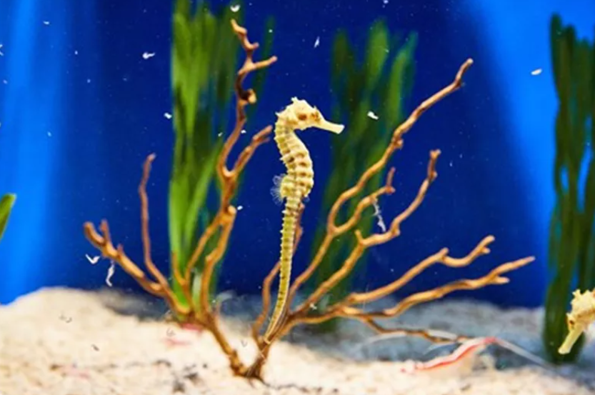 부산 씨라이프 아쿠아리움