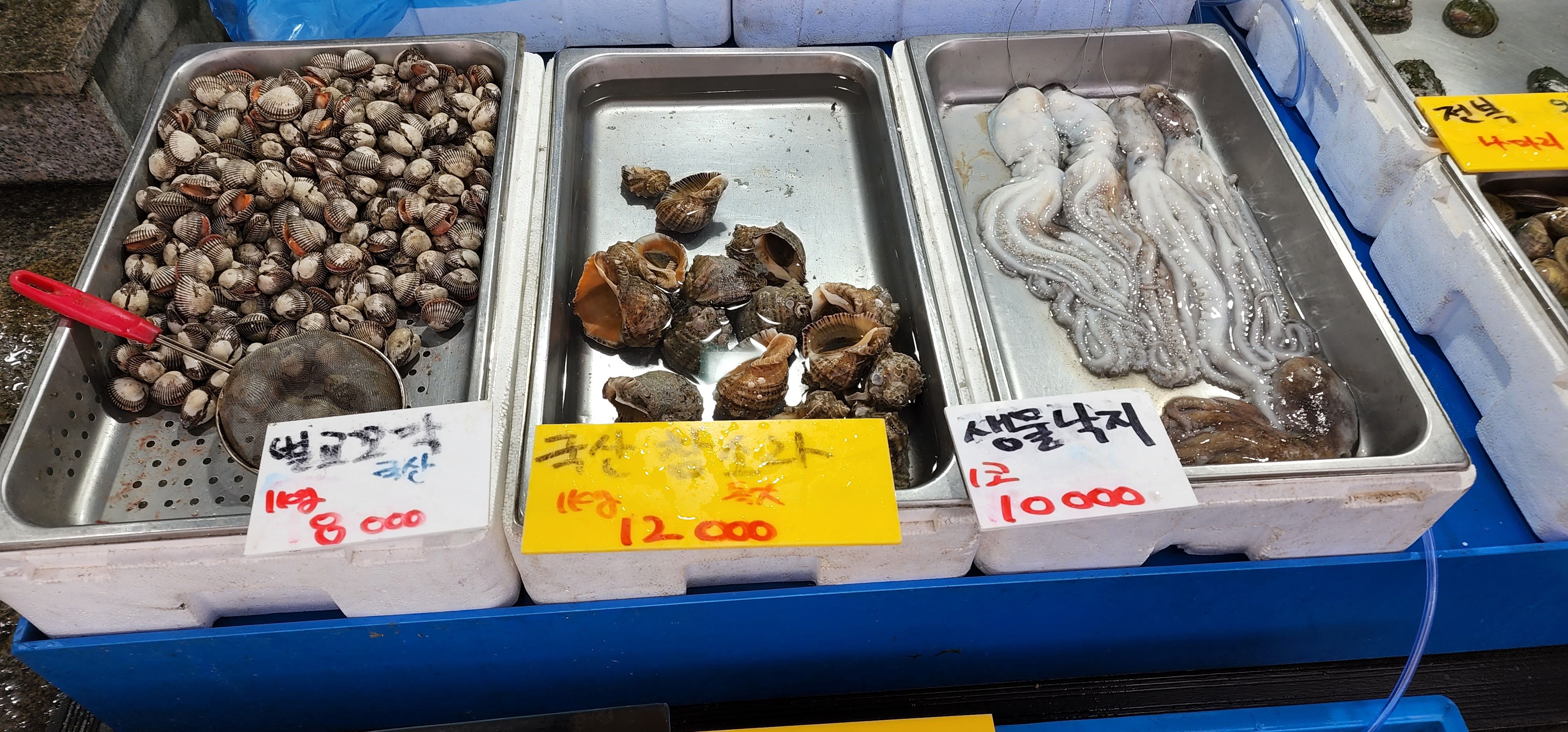 싱싱회수산_세진이네_04