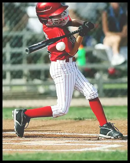 2024 WBSC 야구 프리미어 12 최종 명단 엔트리 확정!