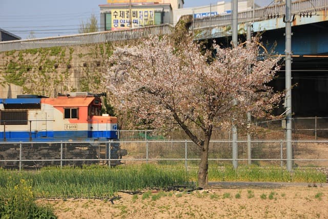 경원선, 서울에서 원산까지 이어진 길