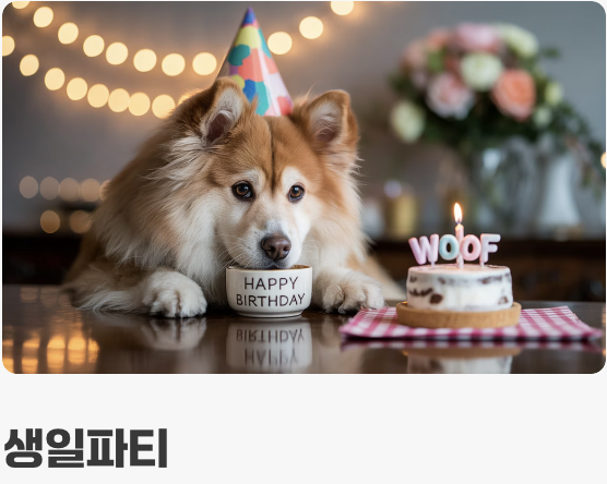 특별한 날을 위한 활용법 꿀팁