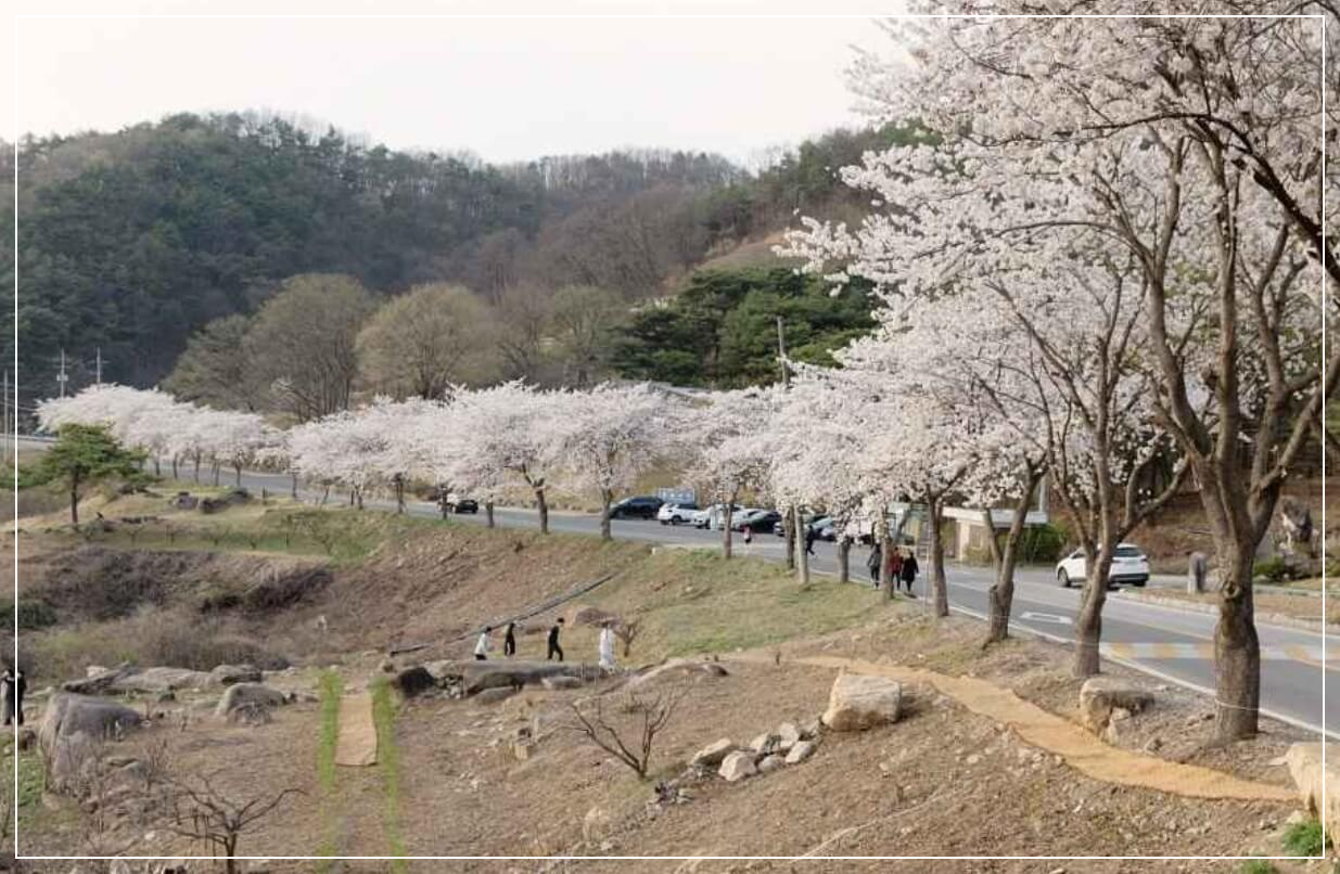 제천 가볼만한곳 베스트10 청풍호 자드락길