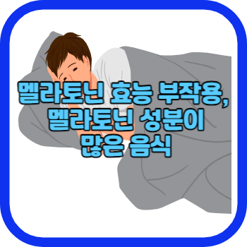 멜라토닌 효능 부작용&#44; 멜라토닌 성분이 많은 음식