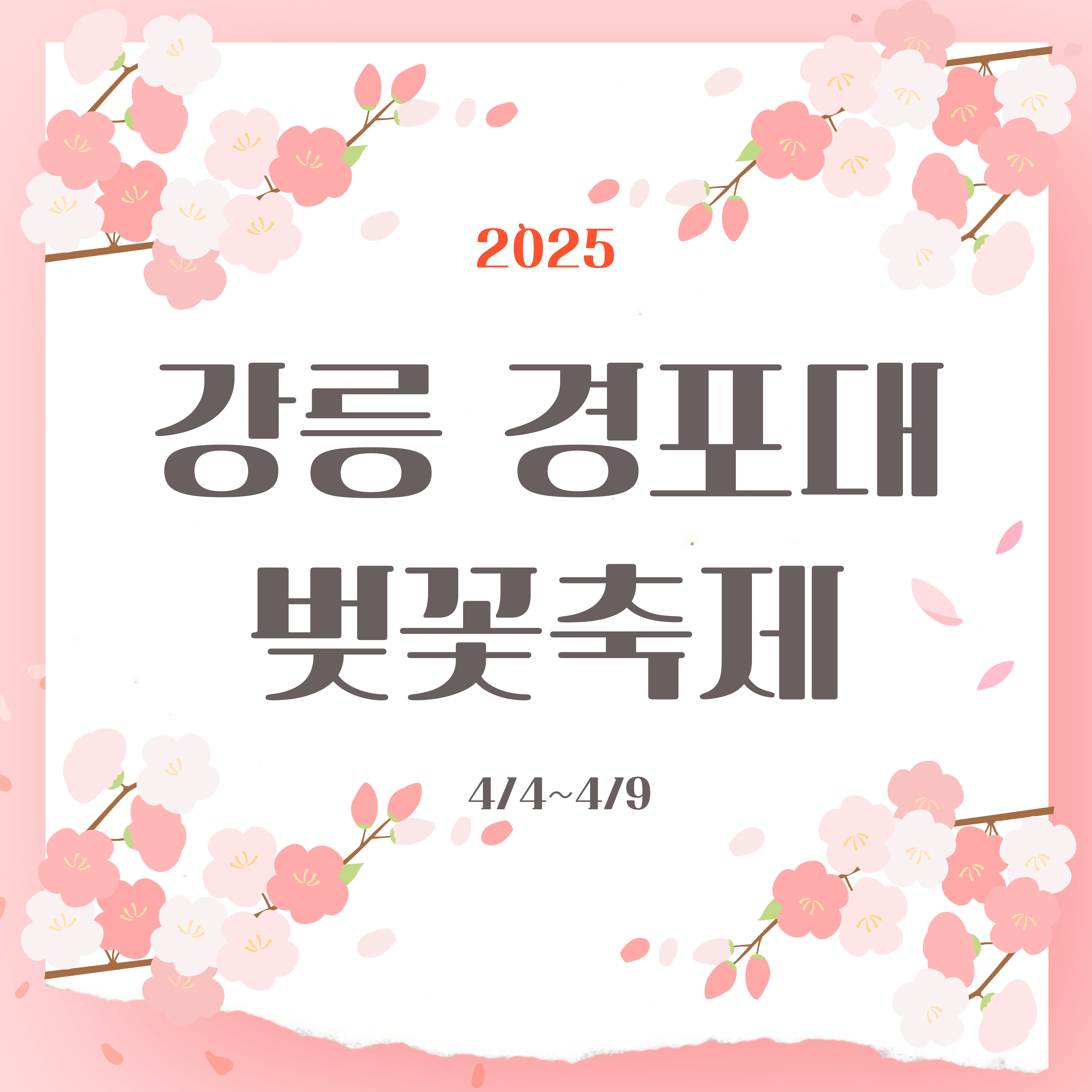 강릉경포대벚꽃축제