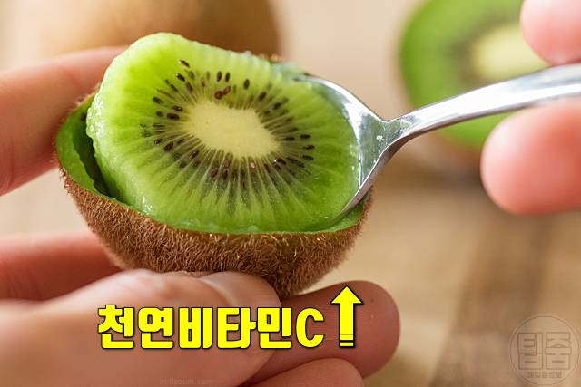 알러지에 좋은 음식 키위 비타민C 양파 알러지에 좋은 차