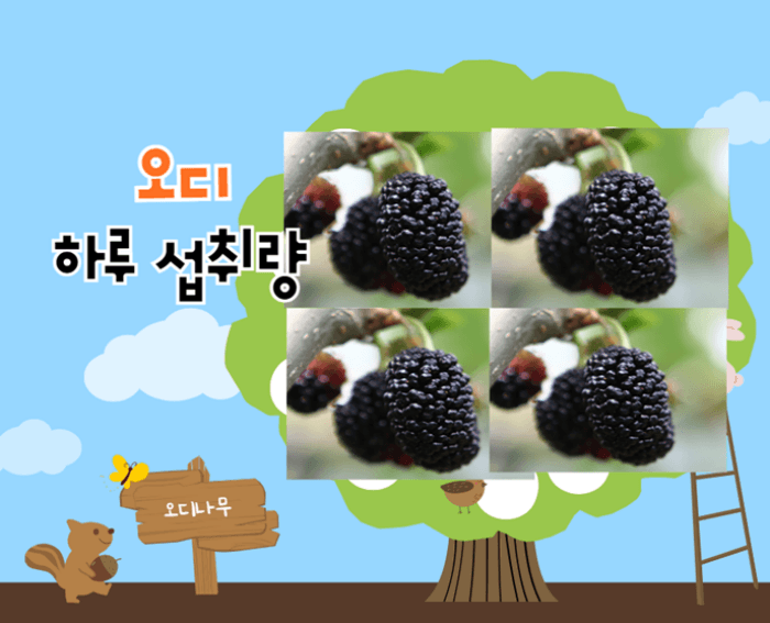 오디 하루 섭취량