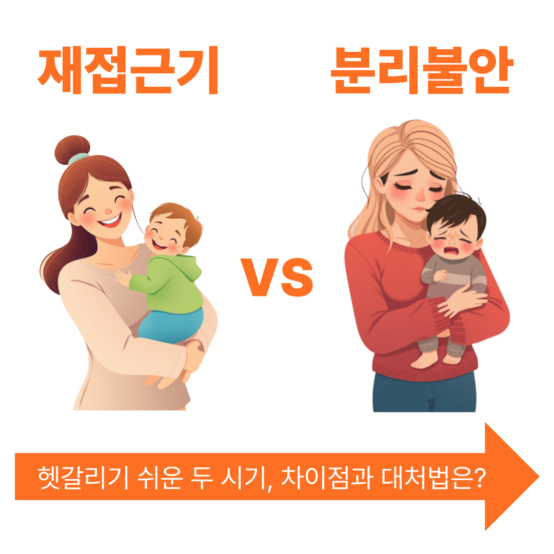 재접근기와 분리불안비교