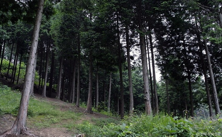 익산 가볼만한곳 베스트 10