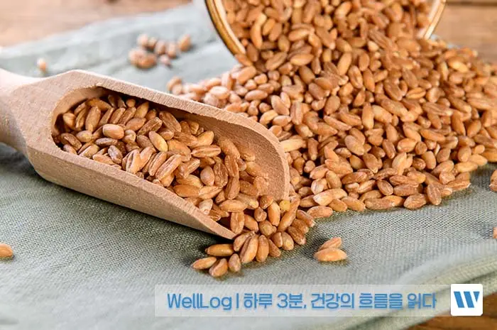 파로 카무트 차이