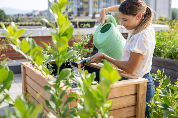 좁은 베란다로 시작하는 소형 텃밭 꾸미기 완벽 가이드