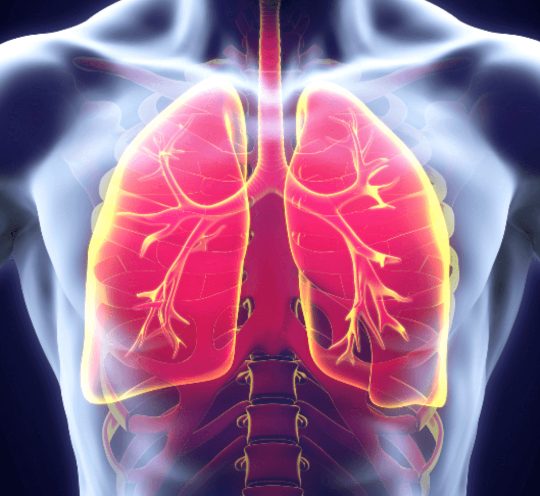가슴 중앙 통증 원인 폐