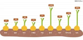 양파 재배 요령 정식 웃거름 도복 수확 건조 포인트_12