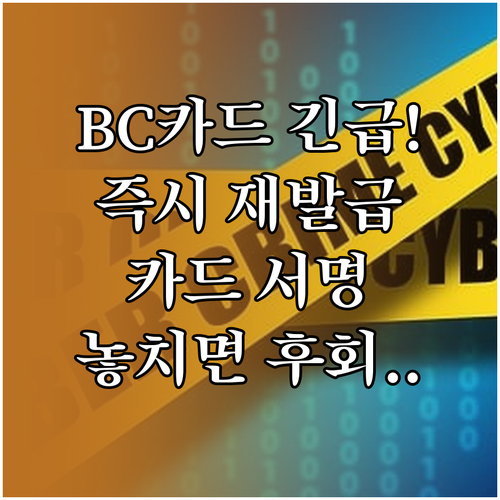 BC카드 신속한 분실 신고 즉시 재발..