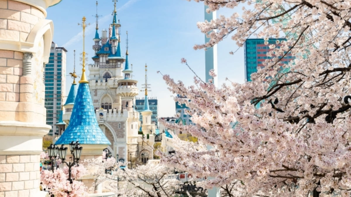 놀이 공원 사진입니다.